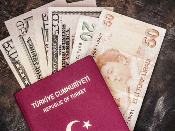 turkish citizenship 2022
